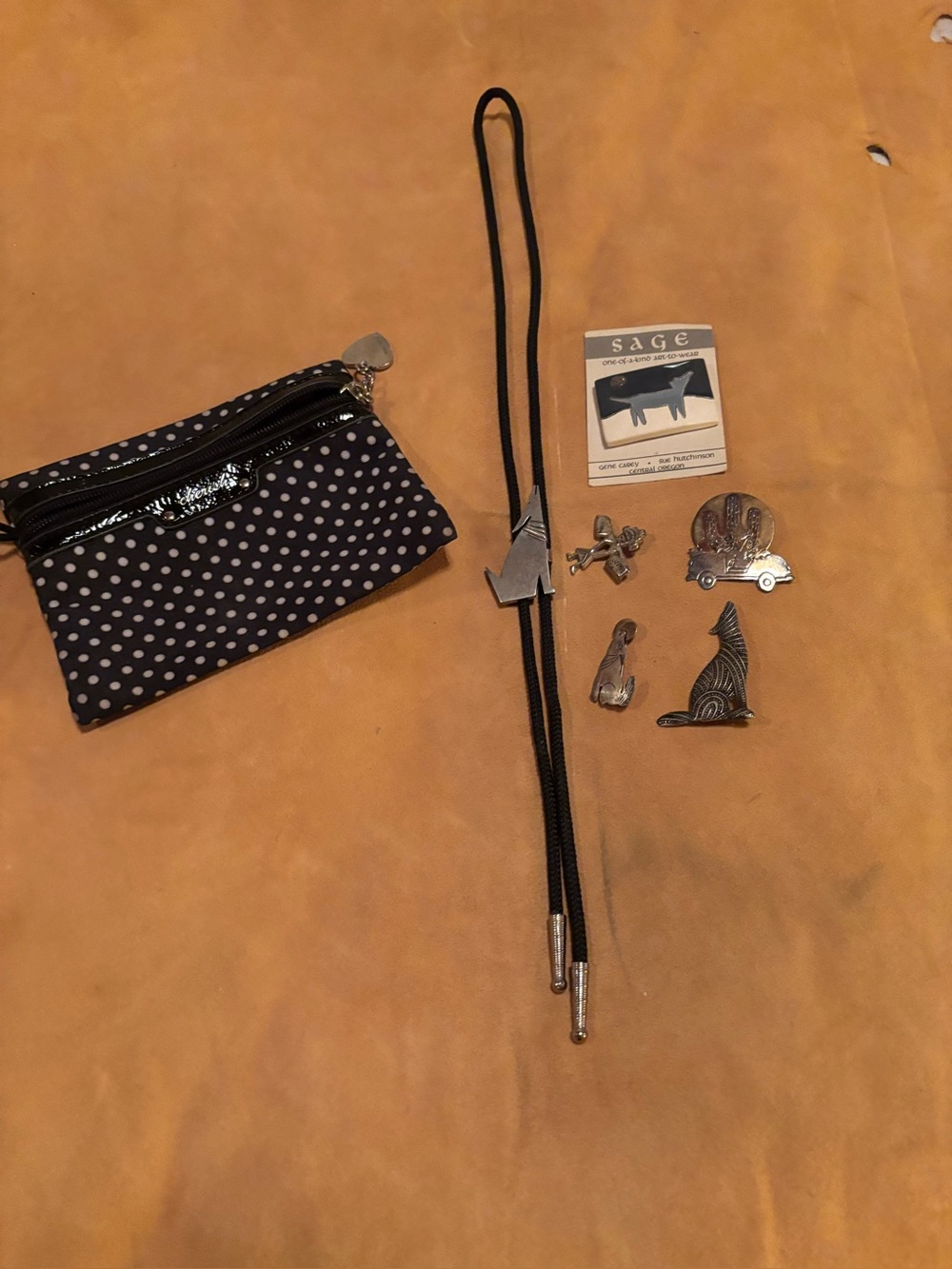 Bundle of Southwestern pins